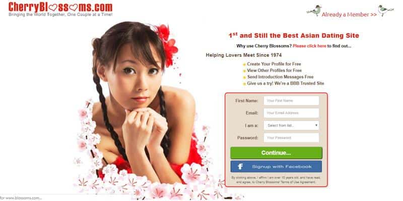 Top 6 Legitimate Asian Dating Sites That Worth a Man's Attention