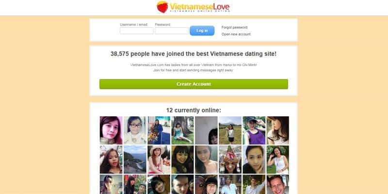 Vietnamese Love website