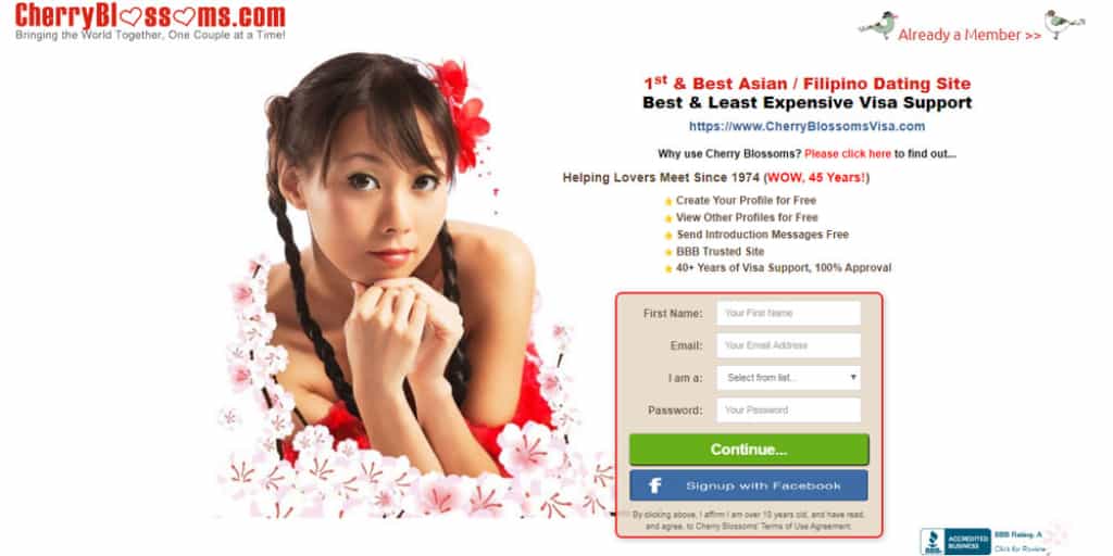 Cherry Blossoms dating site front page