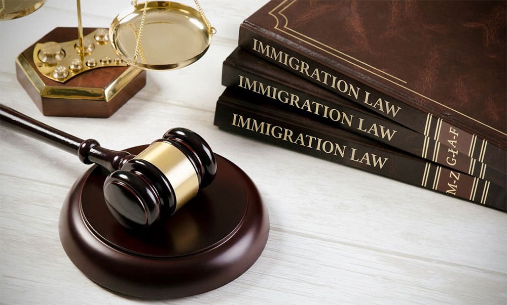 books about immigration law and a gavel