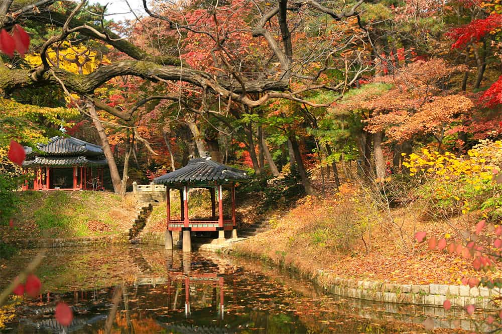 beautiful changdeokgung secret gardens