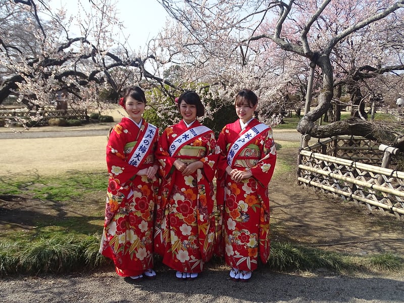 Japanese women wearing traditional kimonos