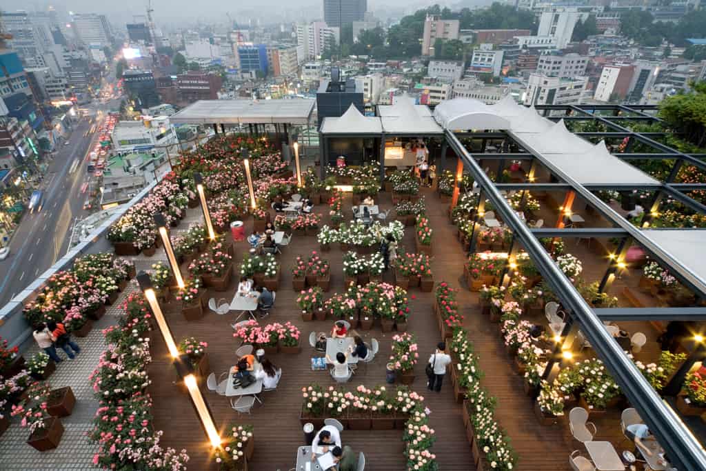 Sky Rose Garden Korea